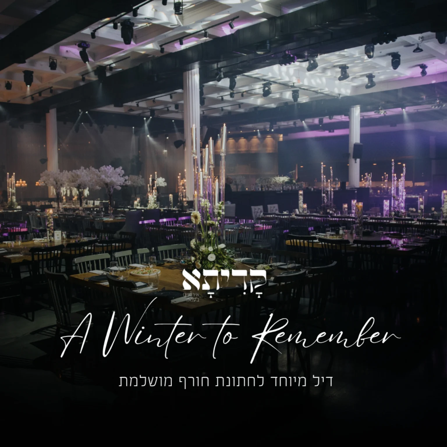 ניהול קמפיינים