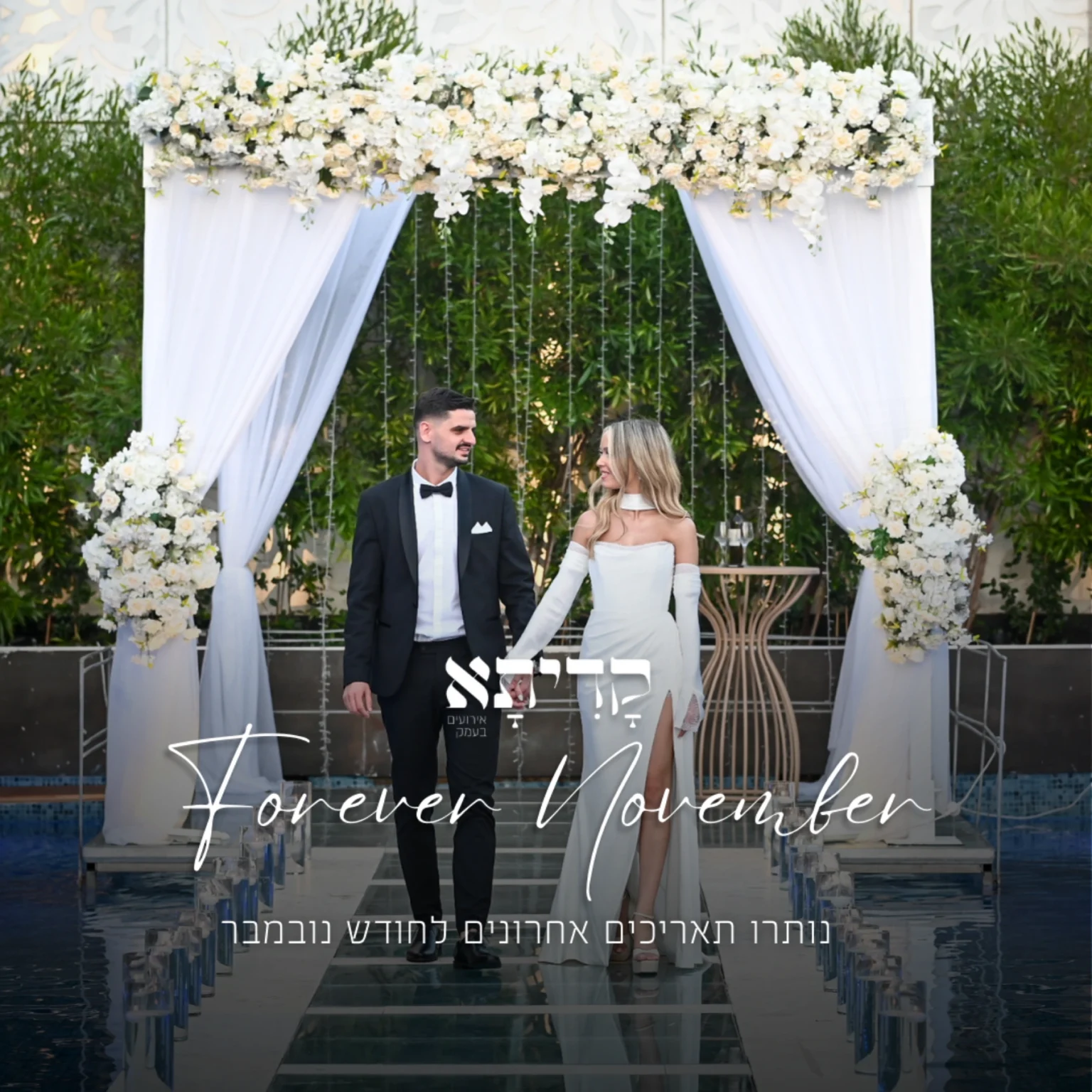 ניהול קמפיינים